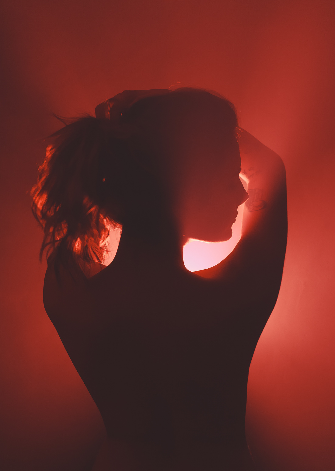 Silhouette of a Topless Woman 